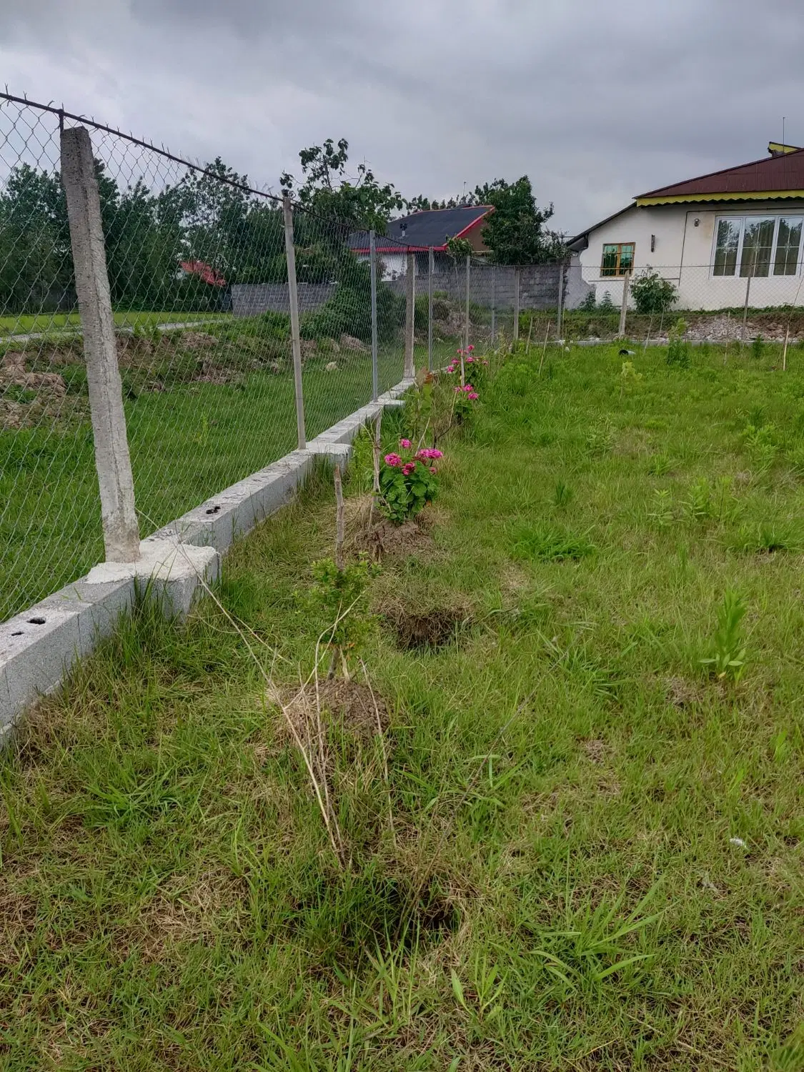 زمین کشاورزی داخل طرح هادی