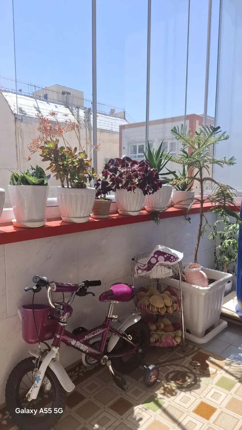آپارتمان پاستور جدید