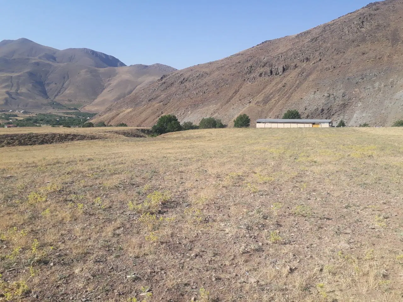 زمین کشاورزی به متراژ 17000