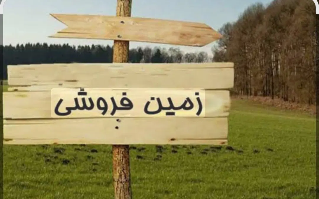 زمین بلوار عابدینی 9