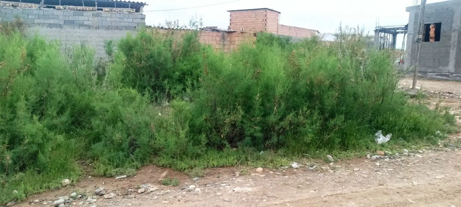زمین مسکونی اتحاد21