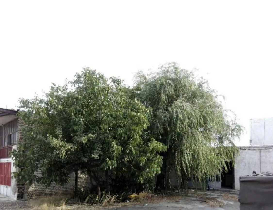 مسکونی ویلایی تجاری