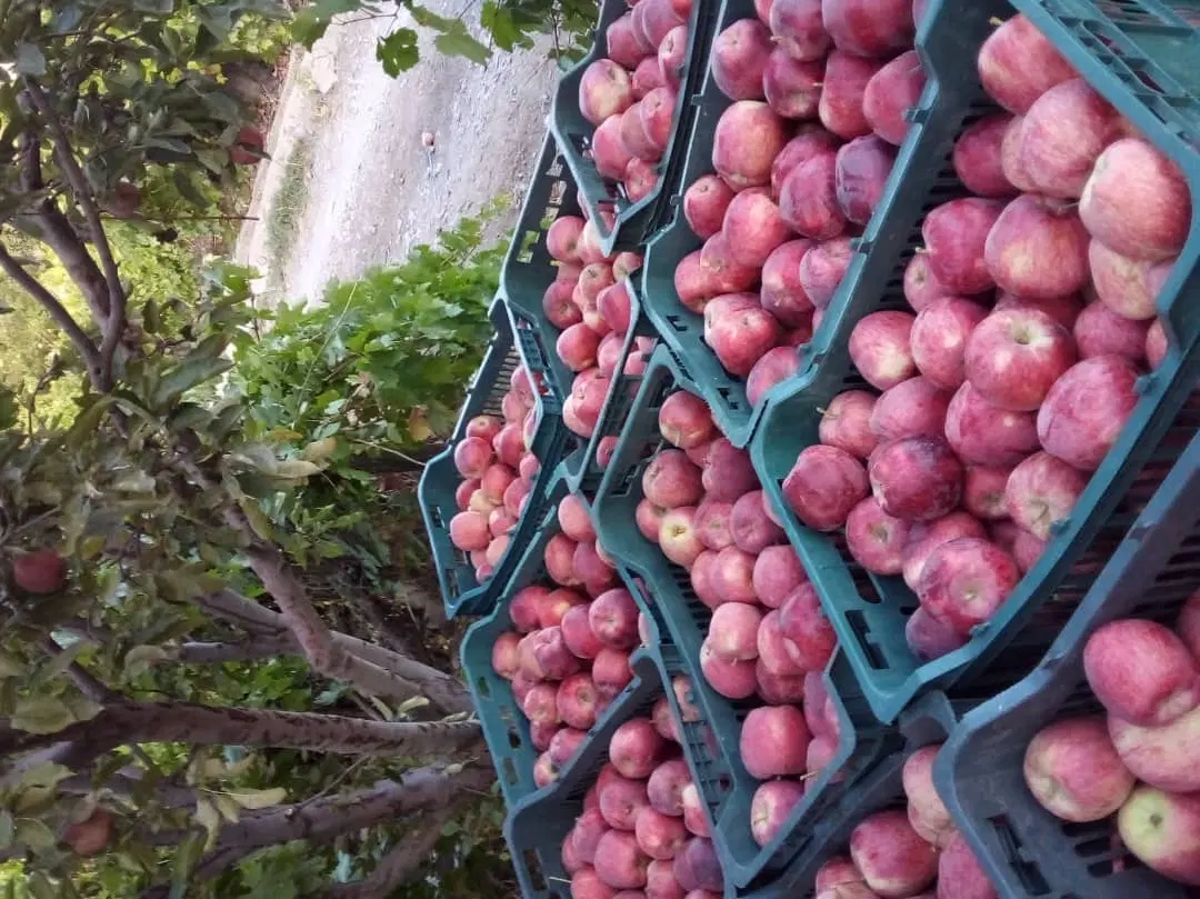 معاوضه باغ 360متری سی سخت با خودروx33-1400