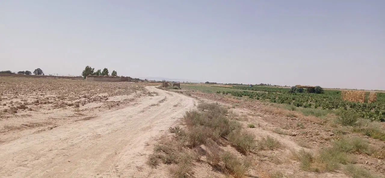 زمین کشاورزی  20هزار متر مربع.14ساعت آب کشاورزی
