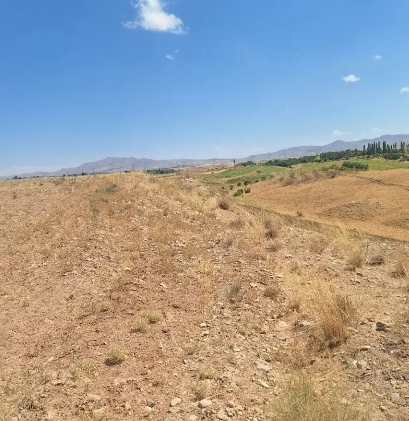 زمین زراعی روستای جارچی