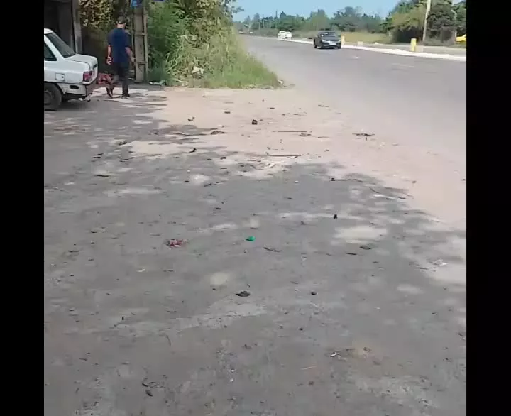 ۴۷۰۰ متر زمین خاص بر جاده اصلی