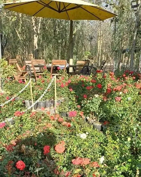فروش ویلای چوبی مناسب سرمایه گذاری