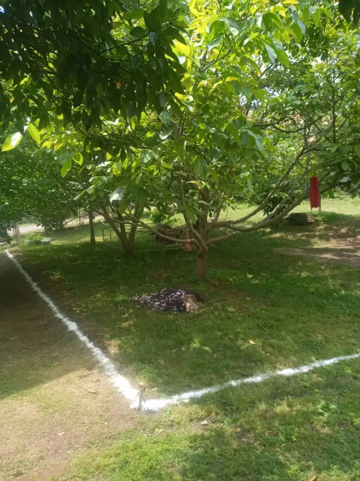 زمین مسکونی