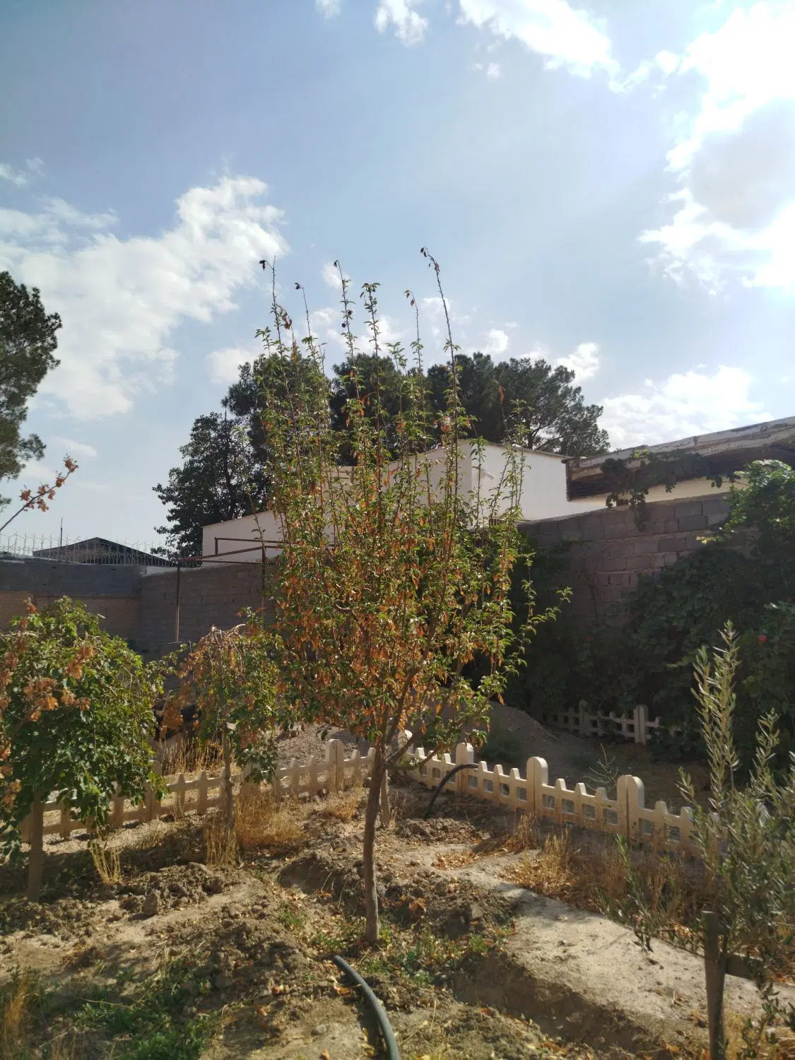 فروش باغچه 550 متری شهرکی چهار دیواری