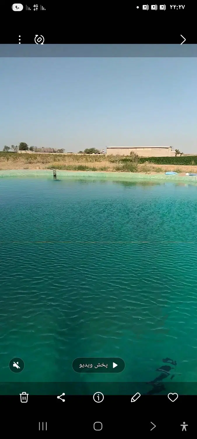 گاوداری وزمین مزروعی
