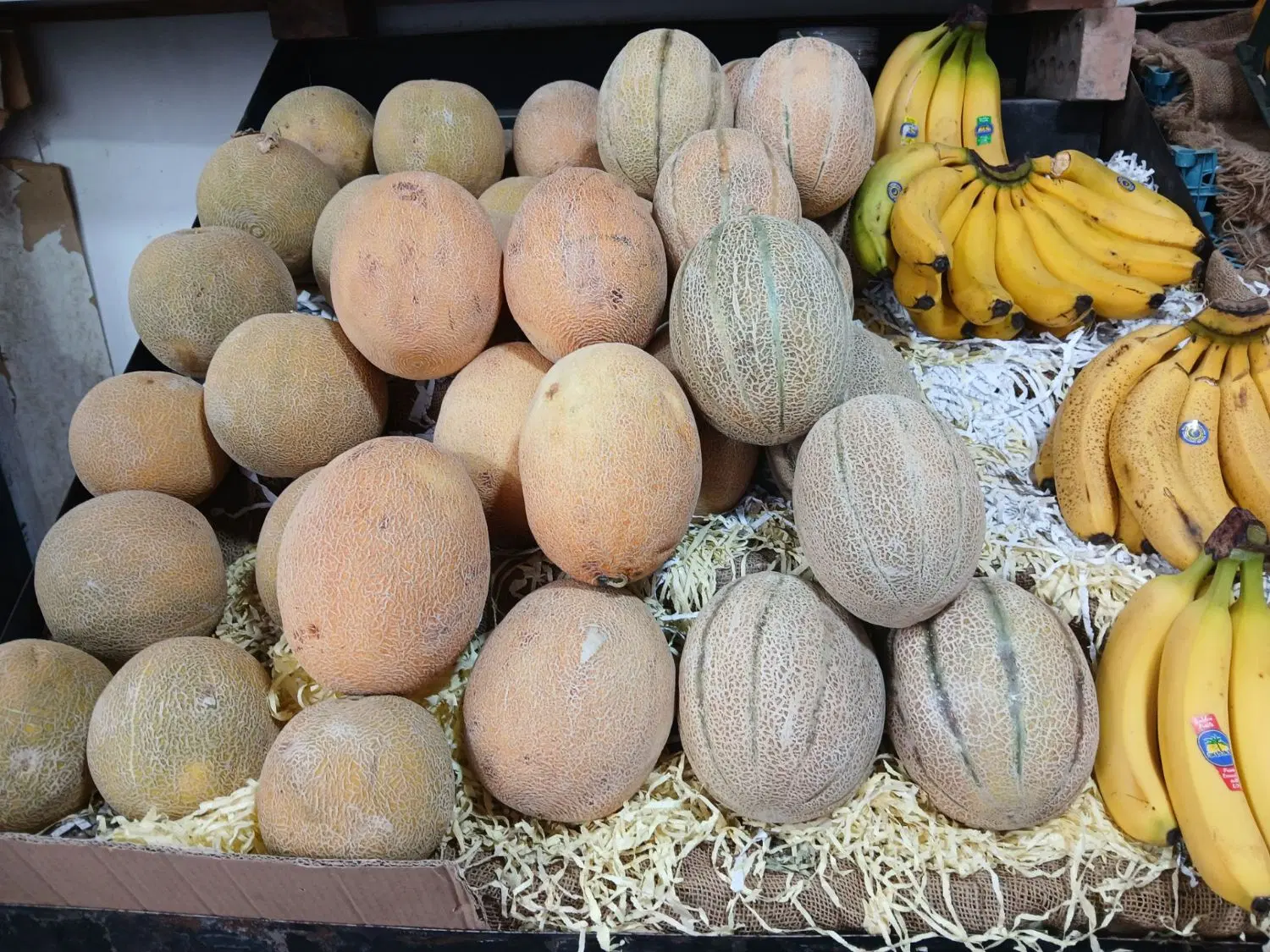 واگذاری میوه فروشی