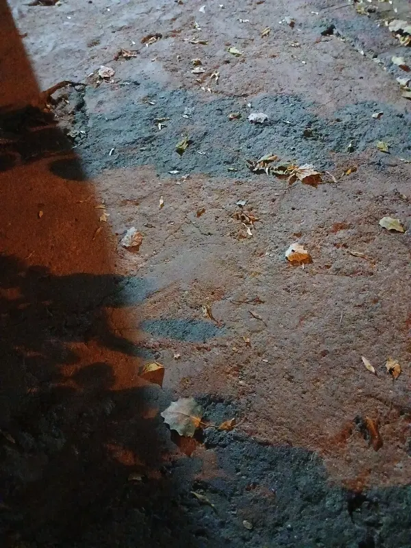 زمین مسکونی