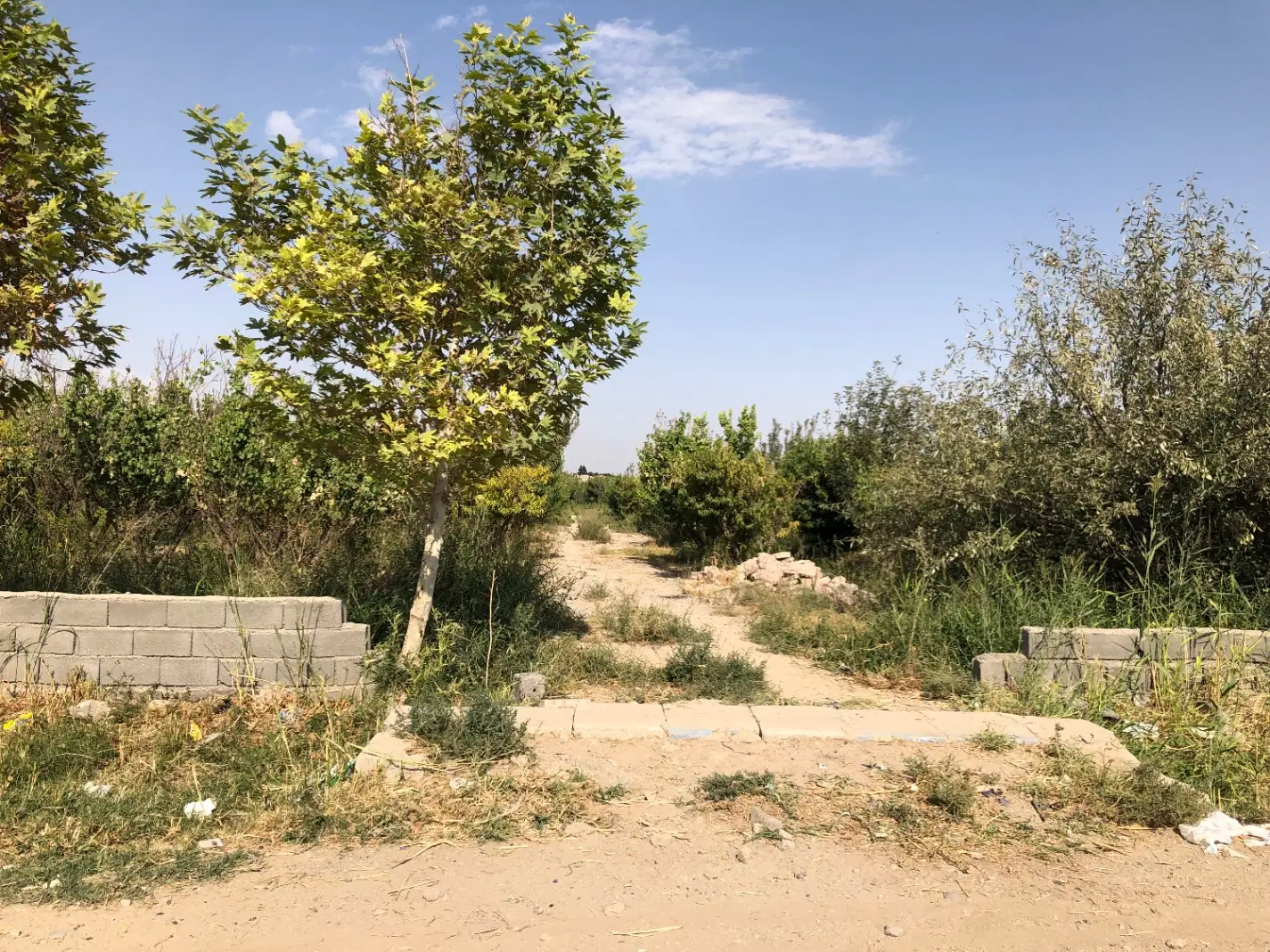 فروش باغ