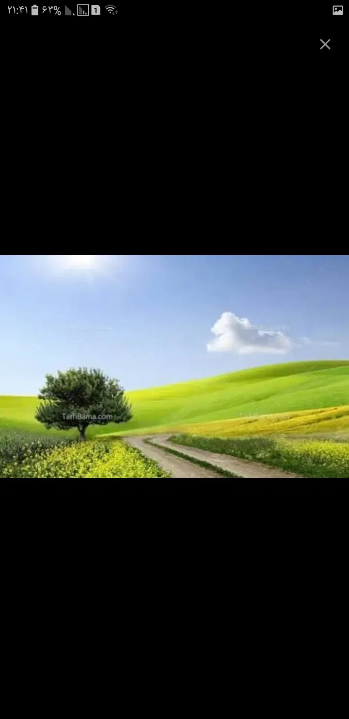 زمین باغی