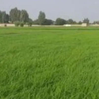 باسلام زمینه باغ ویلای در مشهد شاهنامه 67