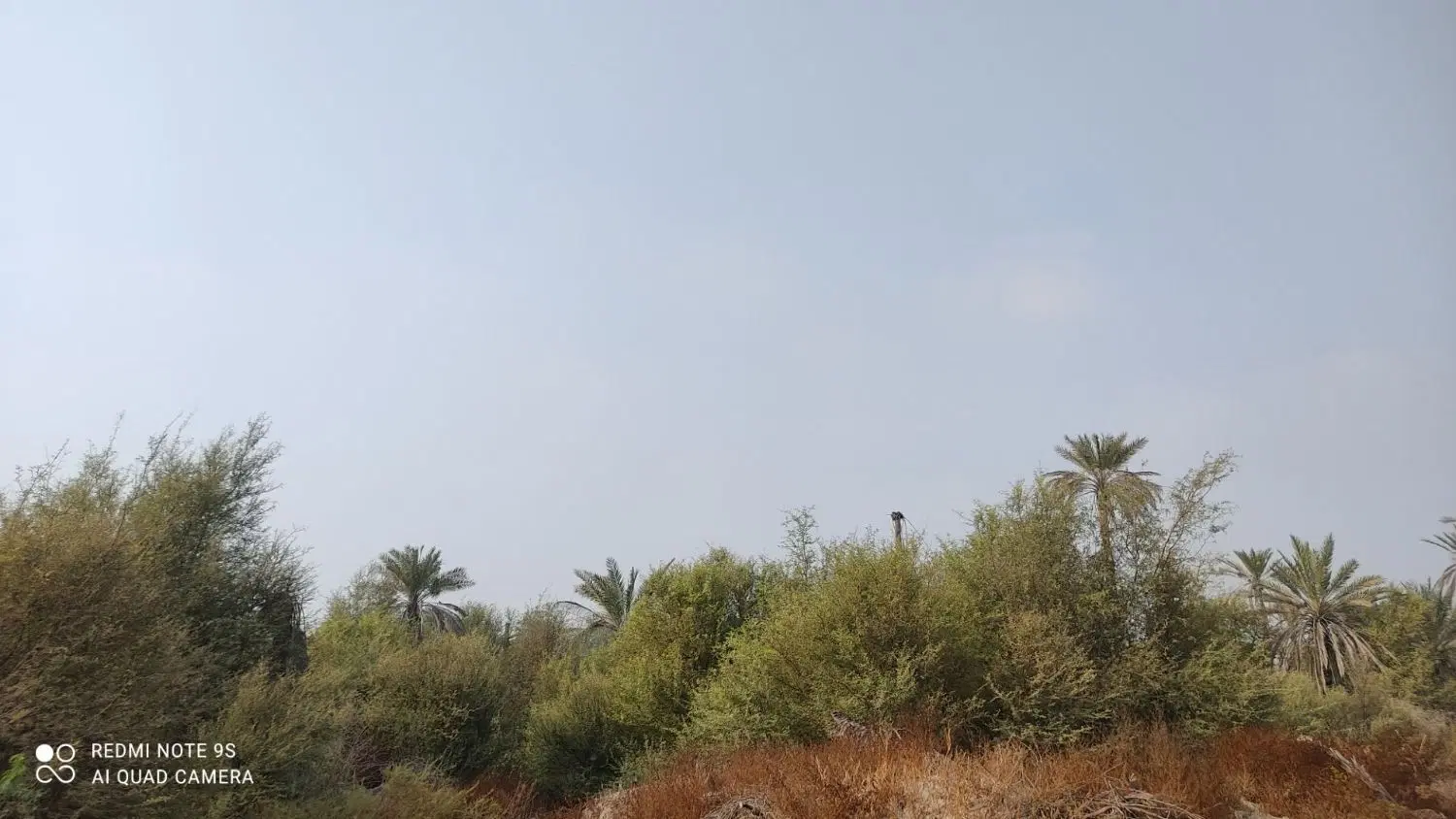 فروش زمین