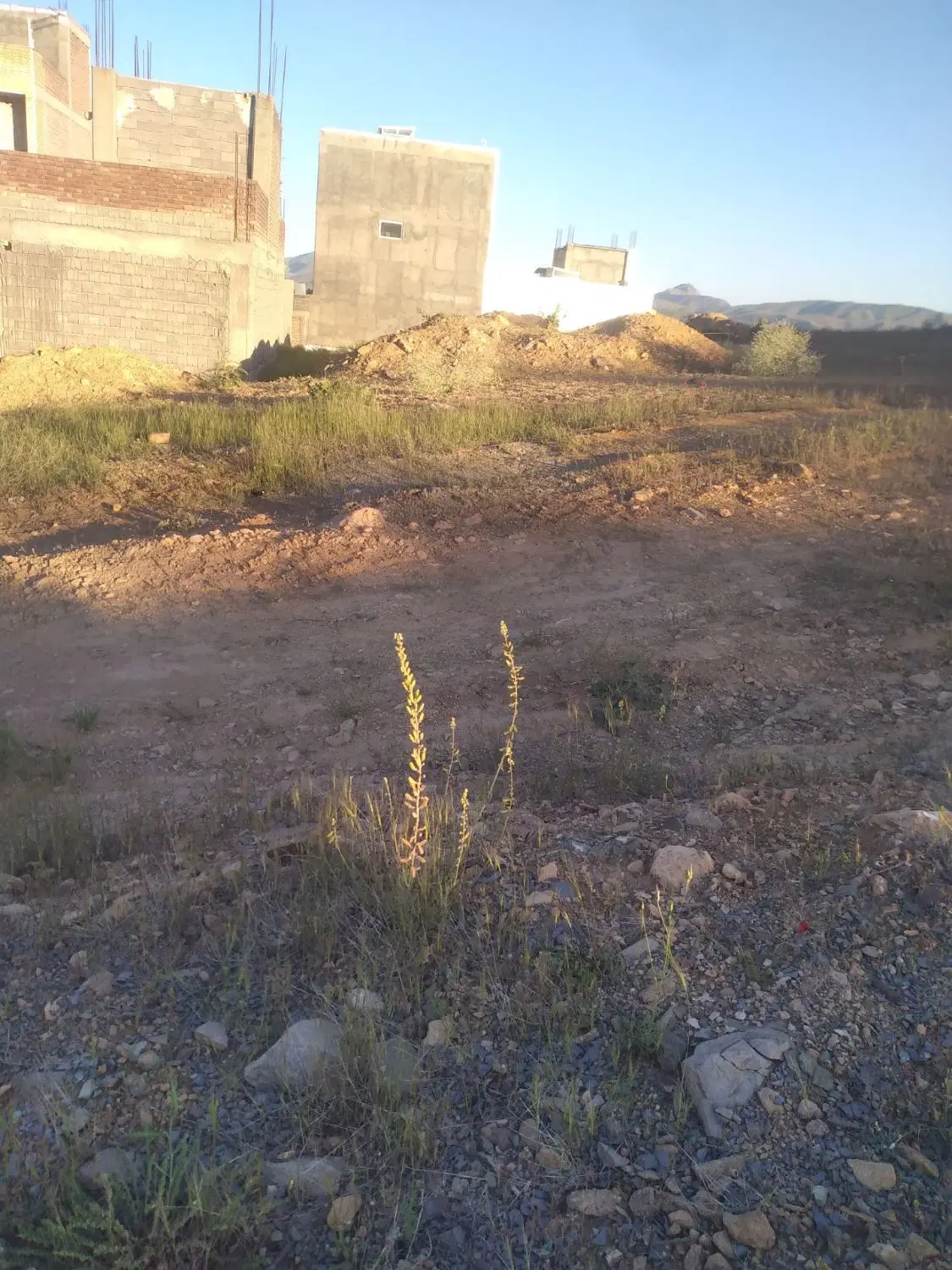 فروش زمین