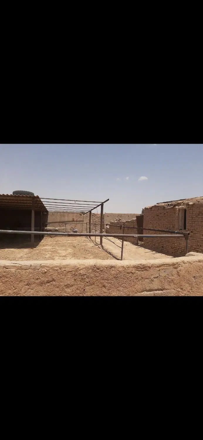 اجاره دامداری