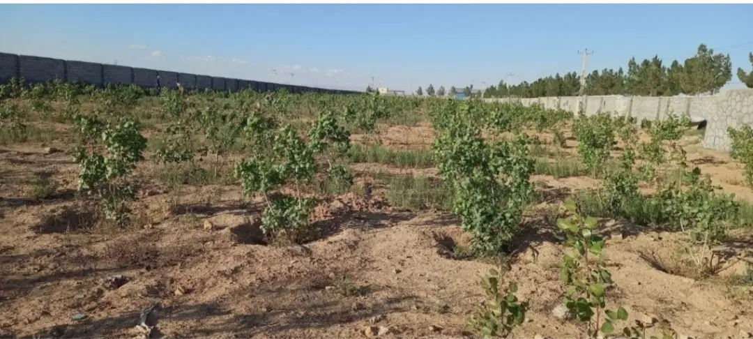 فروش زمین