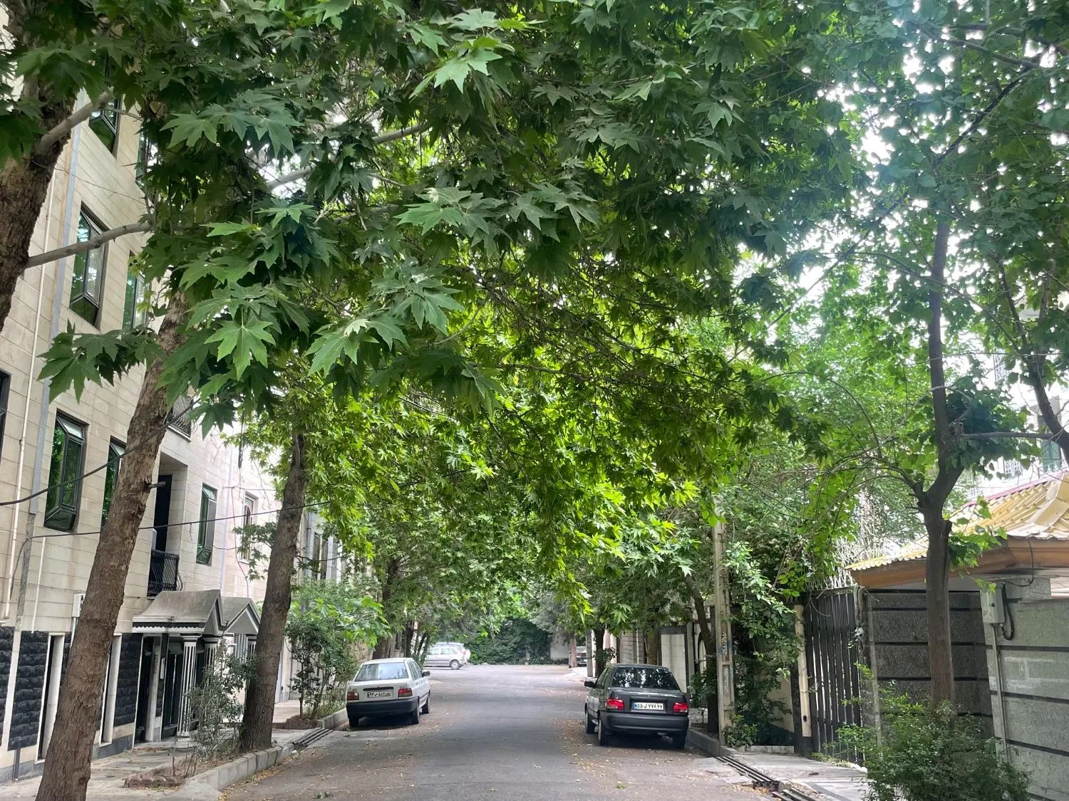 اجاره اپارتمان مهرشهر _ارم ،بن بست کاج و میلاد ۴