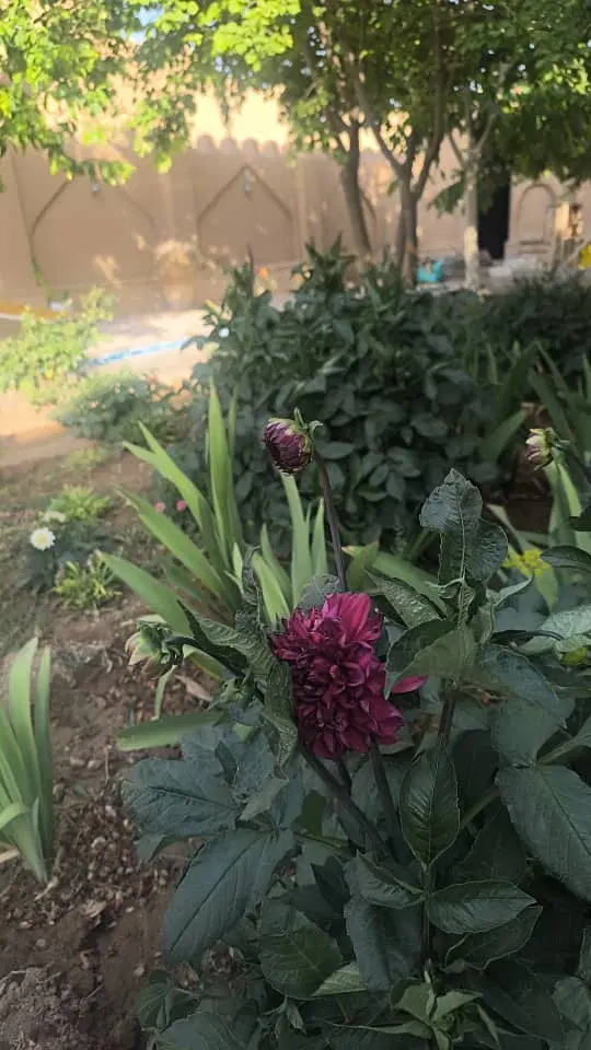 ۳۵۰ متر زمین شهرکی