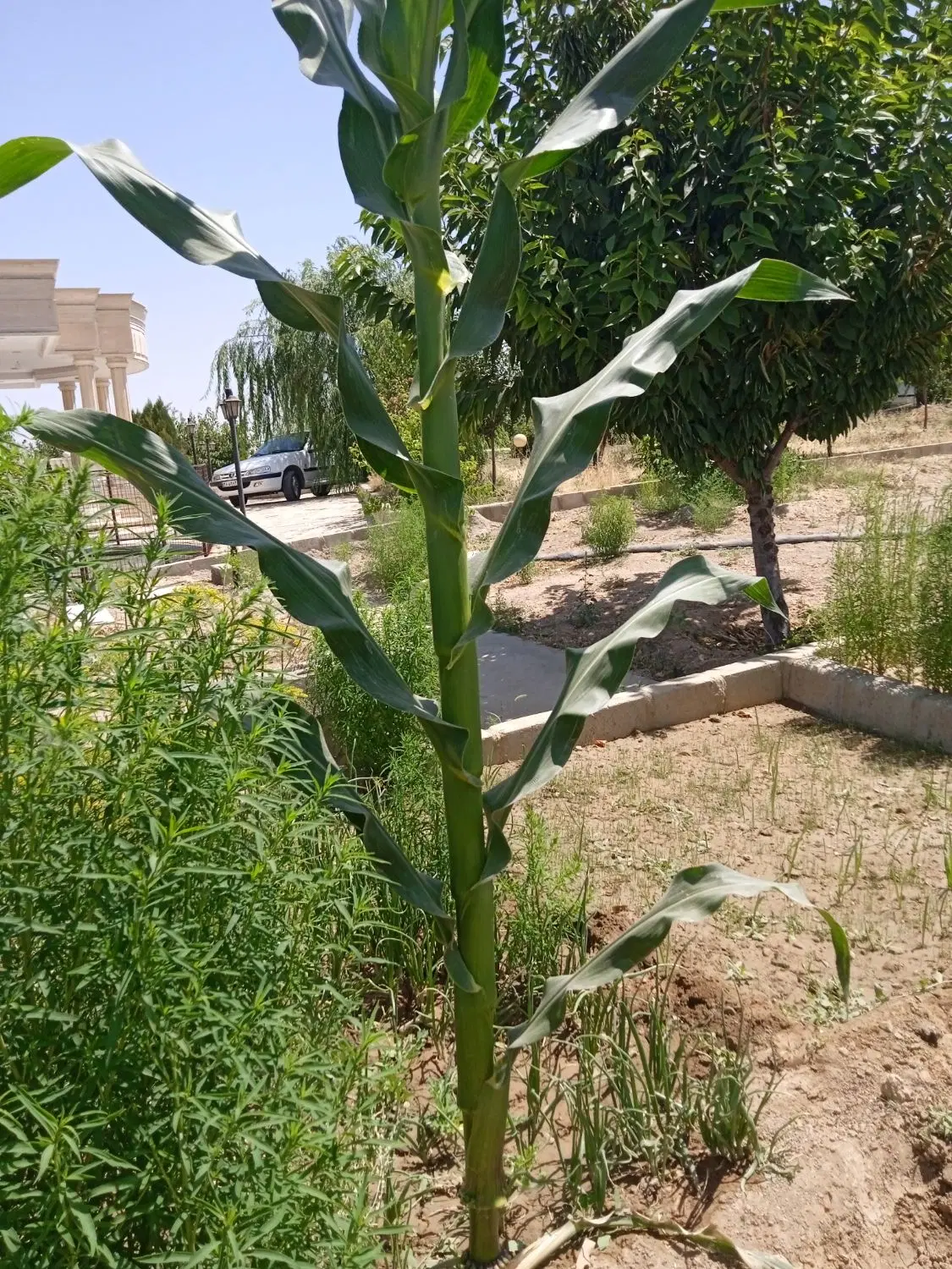 200مترزمین‌درشهرک‌فرهنگیان