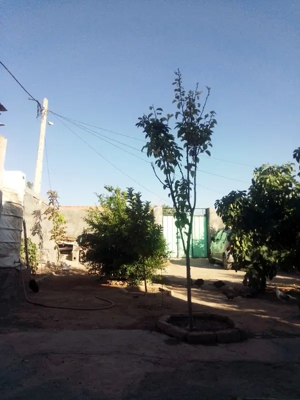 خانه فروشی