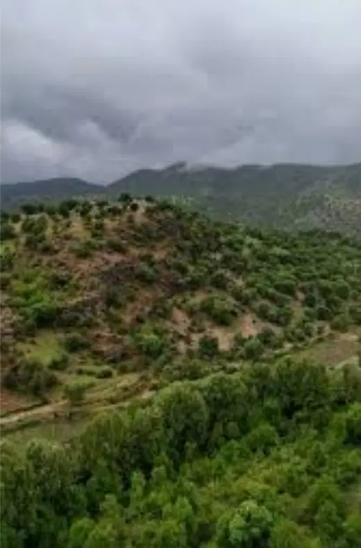زمین.مسکونی تنگ سریز