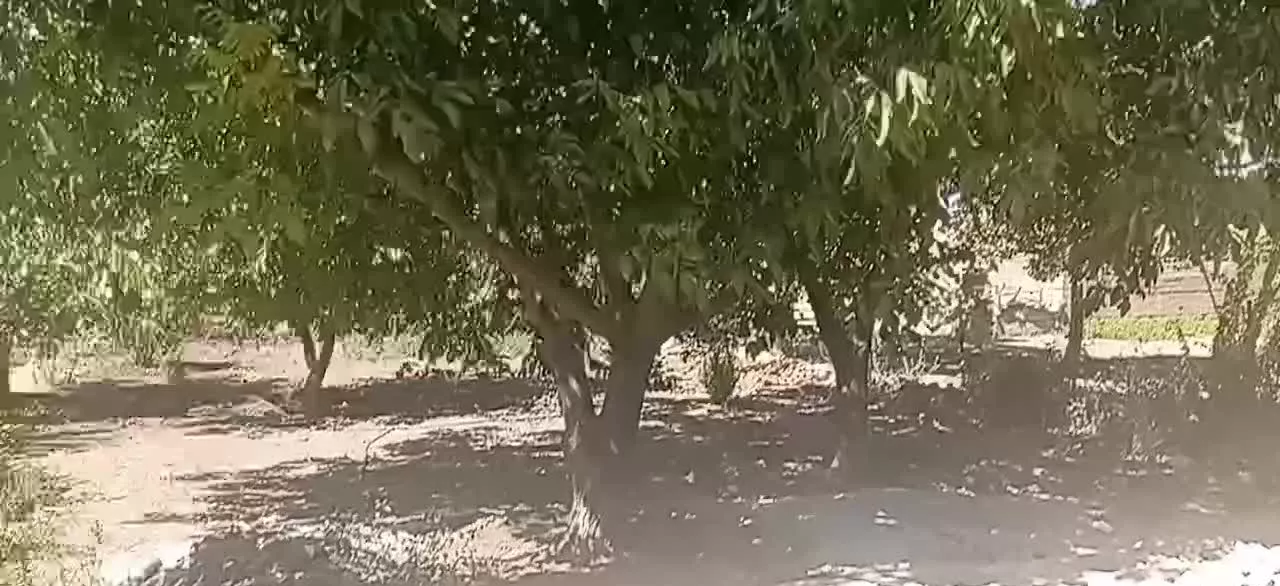 خانه و زمین
