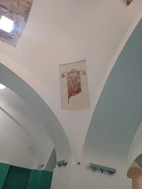 ملک مسکونی