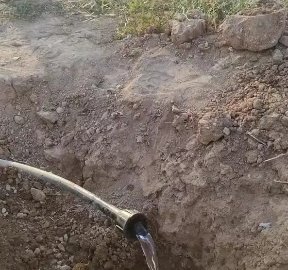 باغشهر شقایق
