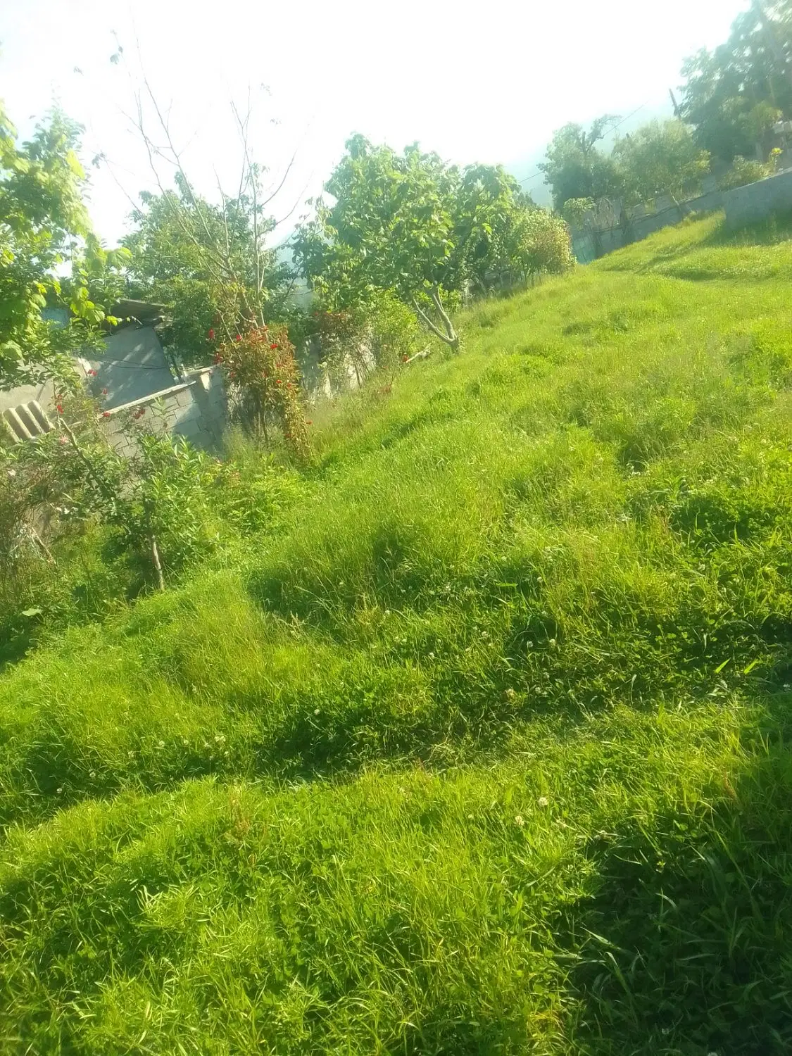 فروش زمین و خانه