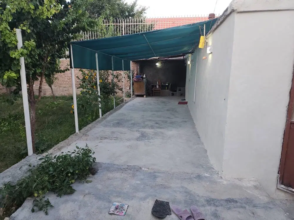 خانه باغ شمس آباد سند تک برگ