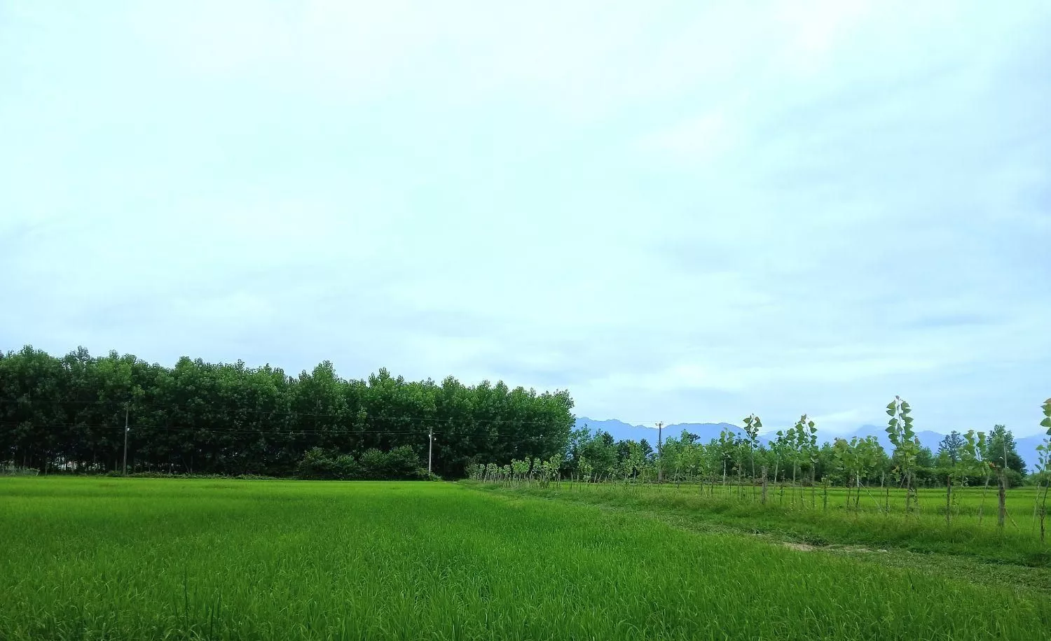 کلبه سوئیسی جکوزی دار  مونترو