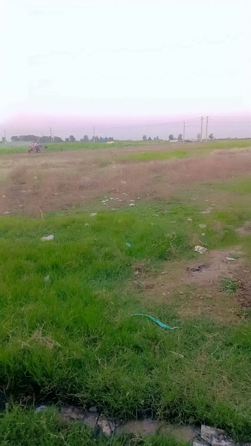 زمین مسکونی 209