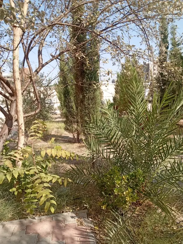 زمین نصرت اباد