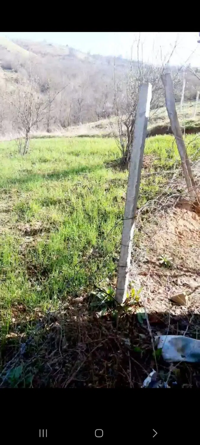 ویلا باغ خانه