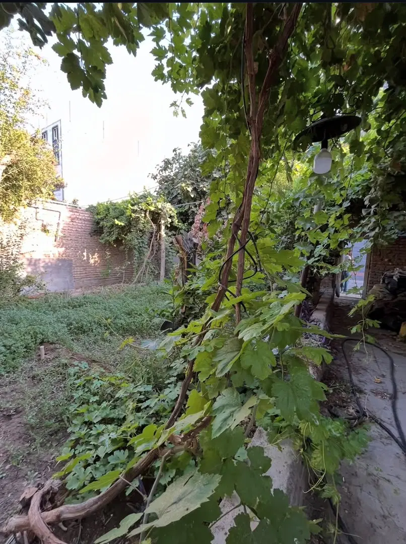 ۴۳۵ متر کلنگی مناسب ساخت