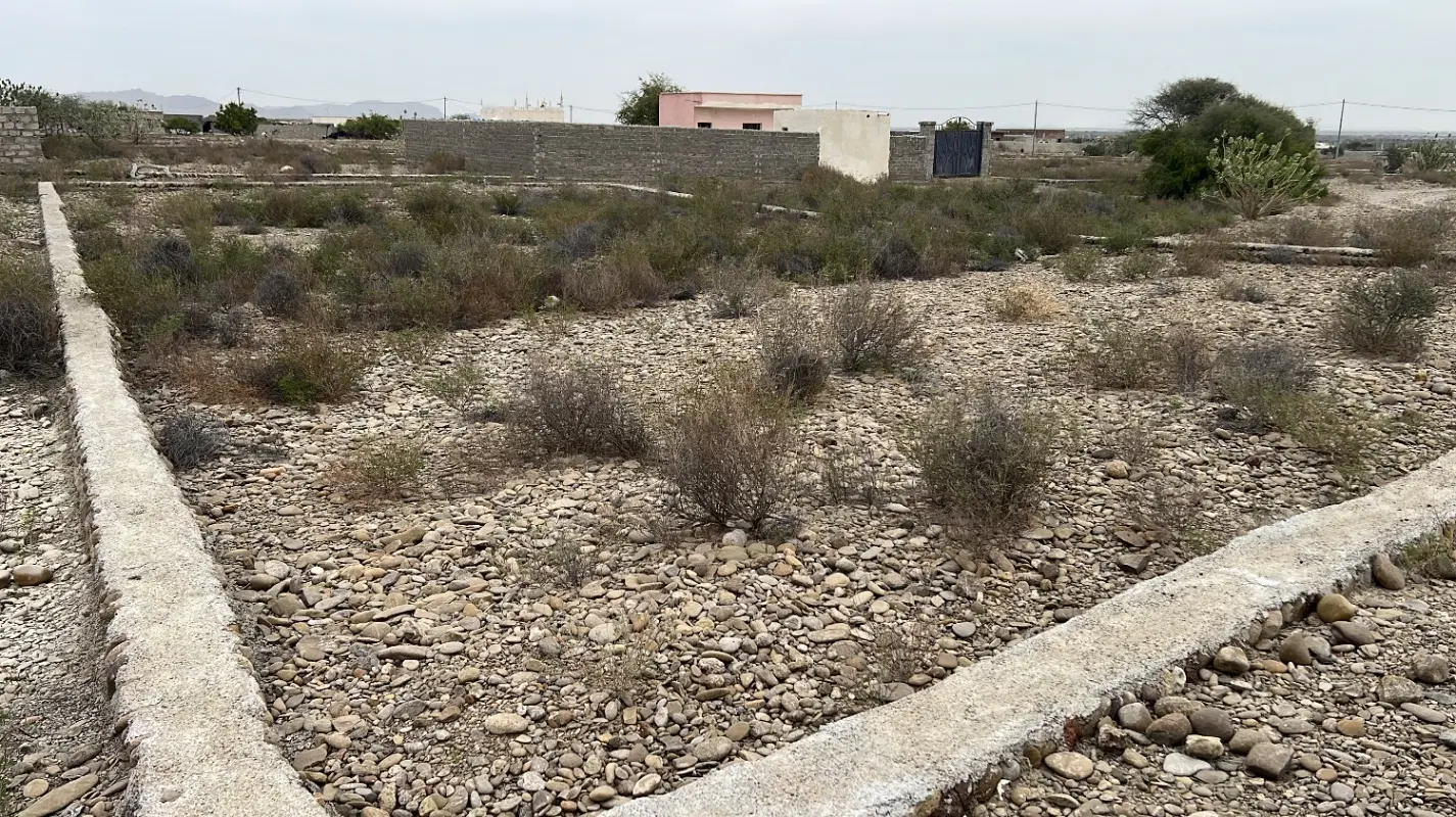 فروش زمین در نگور
