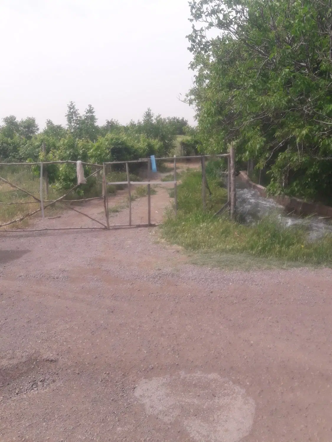 زمین ۷۶۵ متری در میانکوه ( فیض آباد)