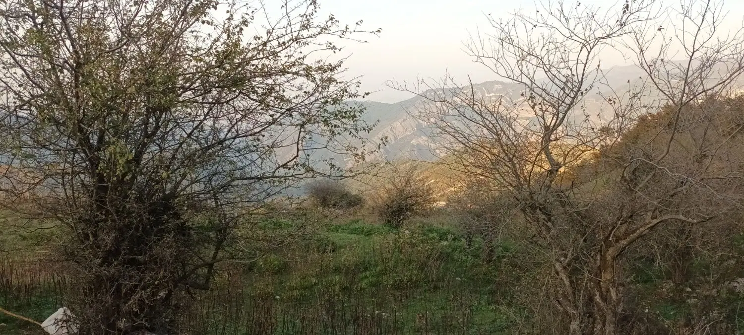 زمین فروشی در روستای گردشگری توریستی پاقلعه