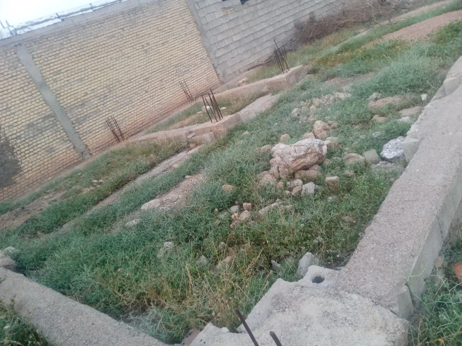 زمین کلنگی