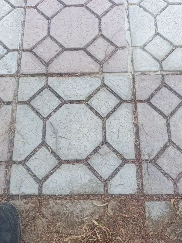 زمین پشه کان