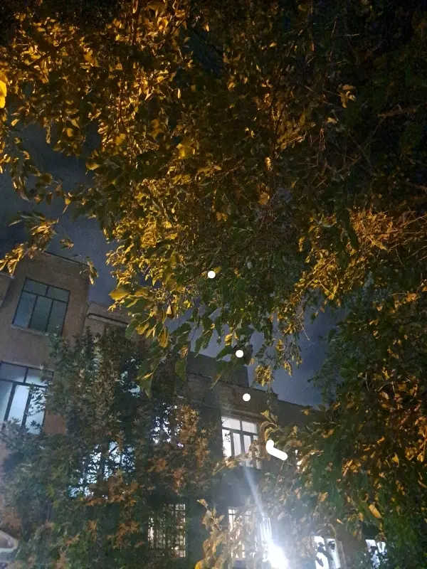 ۲۰۰ متر کلنگی ویلایی شهرک نفت یکجا