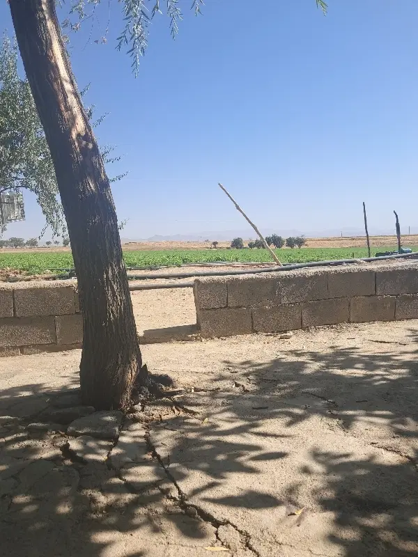 مزرعه کشاورزی