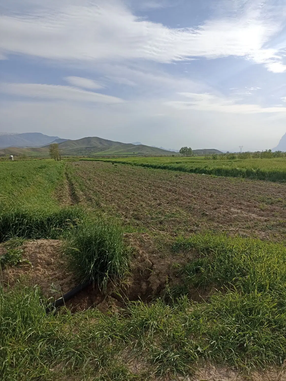زمین کشاورزی صحنه