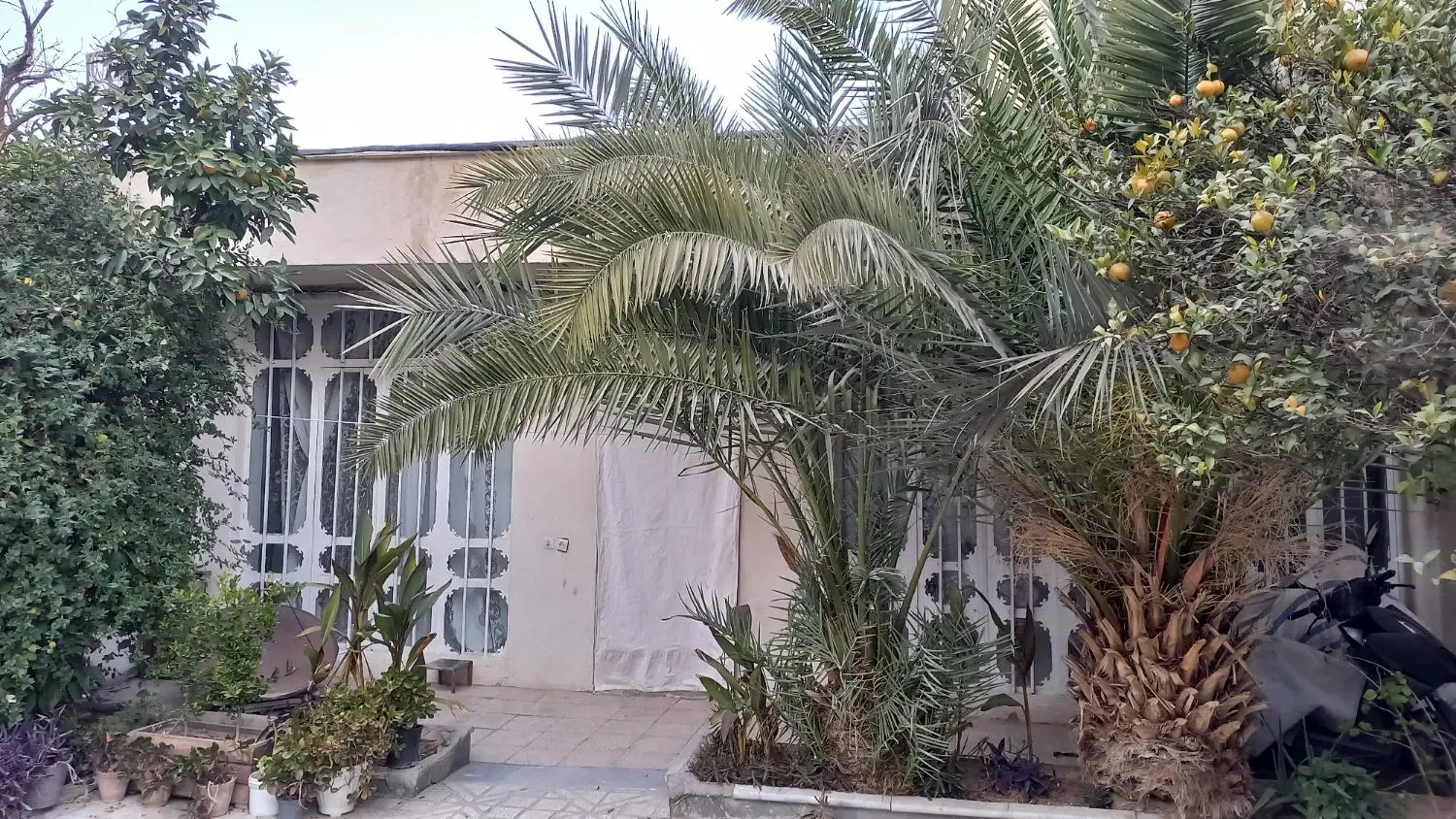 ملک ویلایی