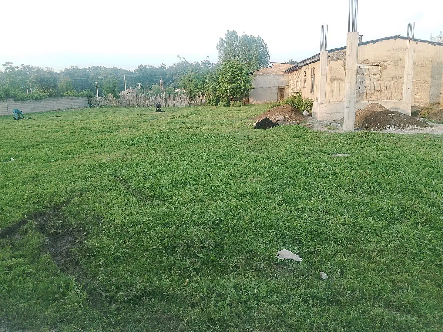 فورش زمین۴۷۳متری درگلستان