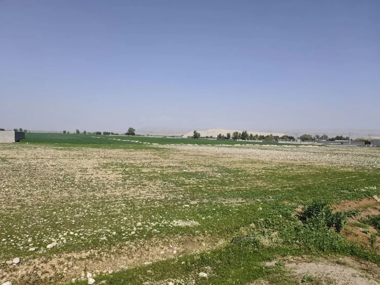 زمین کشاورزی دیم واقع در دوکوهه