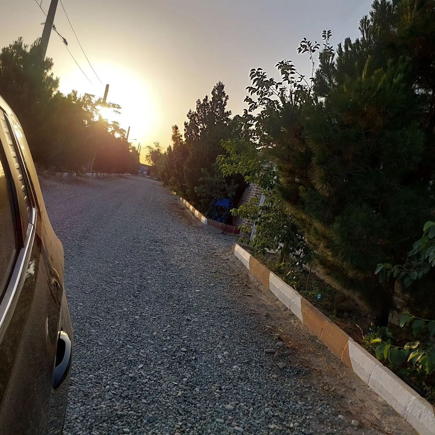 باغ و باغچه ۲۸۰ متری با سند تک برگ